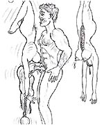 bdsm drawings