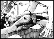bdsm drawings