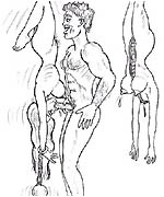 bdsm drawings